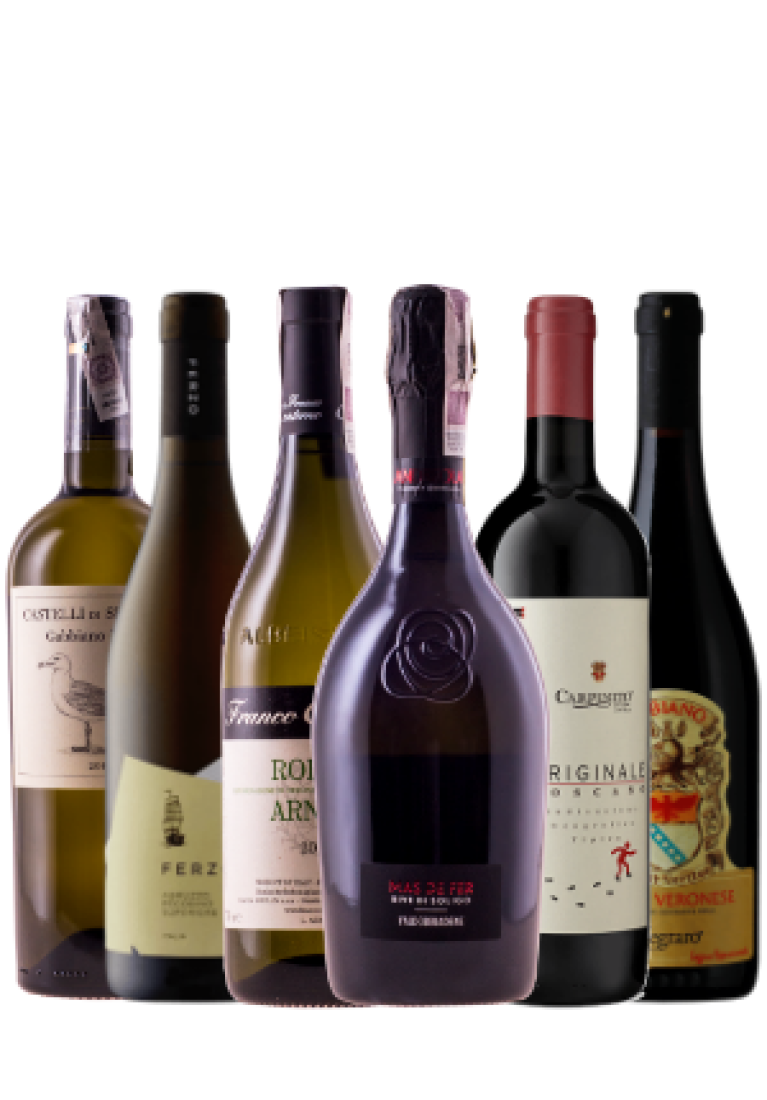 Selekcja włoskich win na lato (6 butelek) – wybór Tomasza Koleckiego